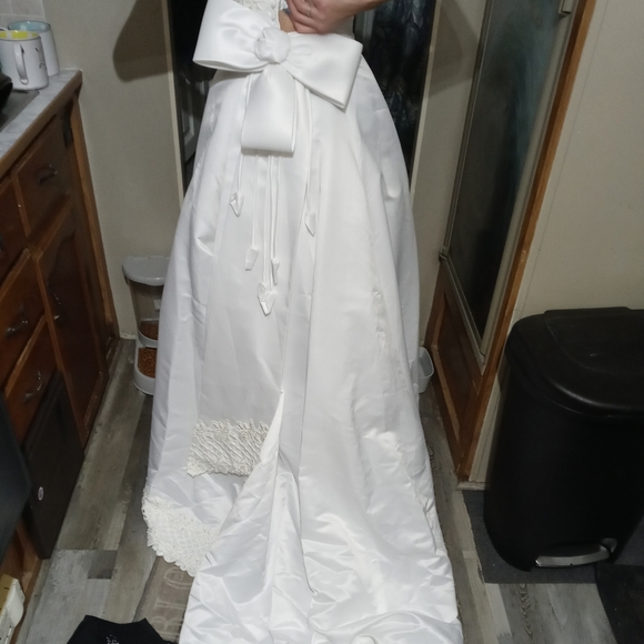 David's Bridal wedding gown with veil - Picture 9 of 11